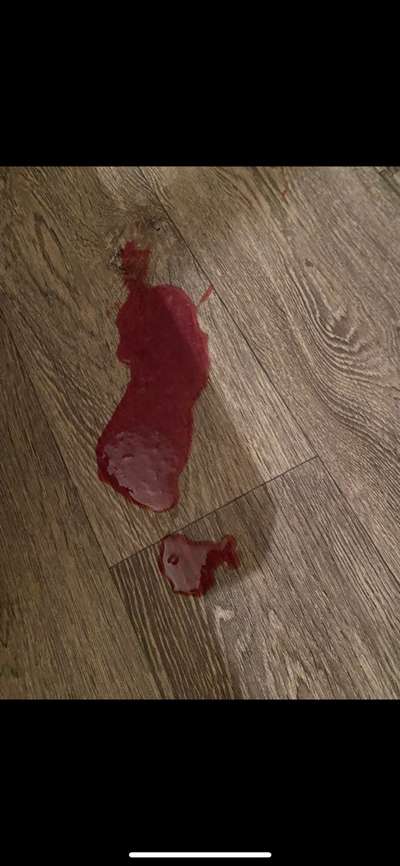 Blutungen..-Beitrag-Bild