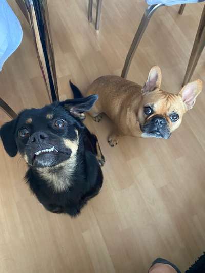 Handy-Foto Challange Nr. 10-Beitrag-Bild