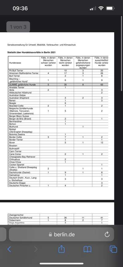 Ohne Halsband, ohne Geschirr-Beitrag-Bild