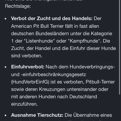 Suche Pitbull Züchter :)-Beitrag-Bild