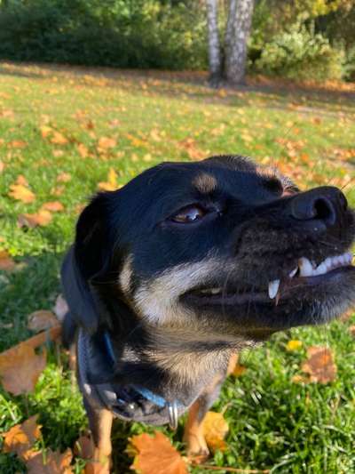 26. Handy Foto Challenge-Beitrag-Bild