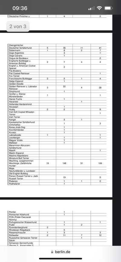 Ohne Halsband, ohne Geschirr-Beitrag-Bild