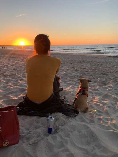 14. Collagen Challenge- Sonnenaufgang & -Untergang-Beitrag-Bild