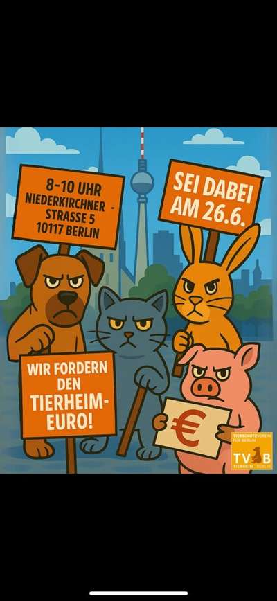 Tierheimpauschale - Zwangsabgabe 
Ja oder Nein?-Beitrag-Bild