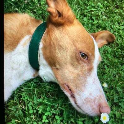 Lieblings Schnappschuss?-Beitrag-Bild