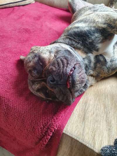 CHALLENGE NR. 34 - Liege-/Schlafpositionen-Beitrag-Bild