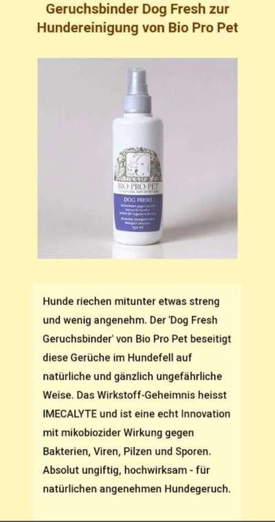 Hundefell desinfizieren-Beitrag-Bild