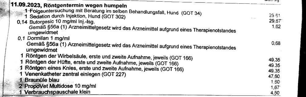 Rechnung vom Tierarzt-Beitrag-Bild