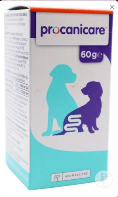 Durchfall beim Hund-Beitrag-Bild