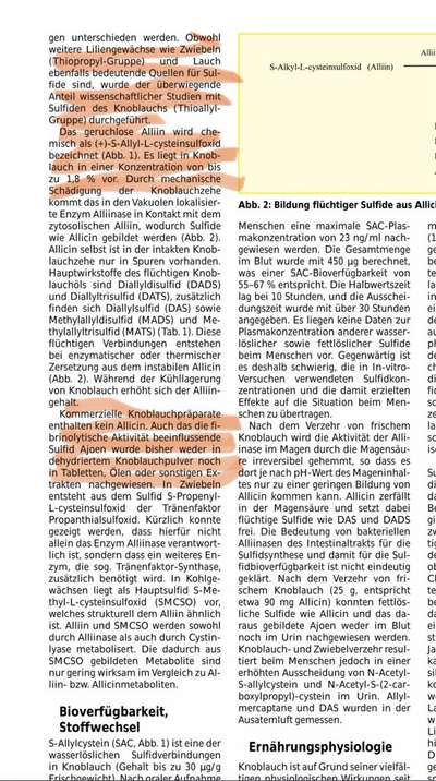 Hochwertiges / Bedarfsgerechtes Nassfutter (ohne Barfen), welches nur?-Beitrag-Bild