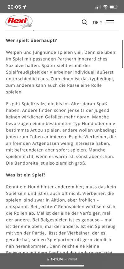 Hund spielen lassen mit anderen Hunden-Beitrag-Bild