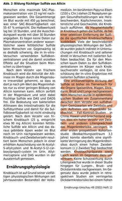 Hochwertiges / Bedarfsgerechtes Nassfutter (ohne Barfen), welches nur?-Beitrag-Bild