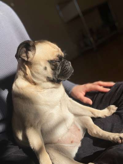 28. Handy-Fotochallenge - Damals und heute-Beitrag-Bild