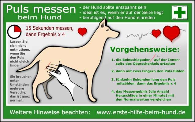 Total Nervös-Beitrag-Bild