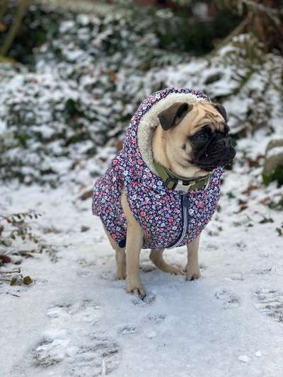 Lustige Eigenheiten-Beitrag-Bild