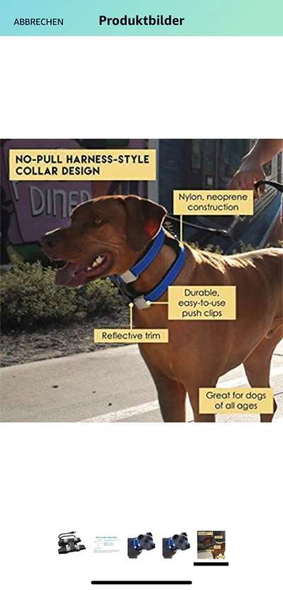 Wir müssen über tierschutzwidriges Hundezubehör reden!-Beitrag-Bild