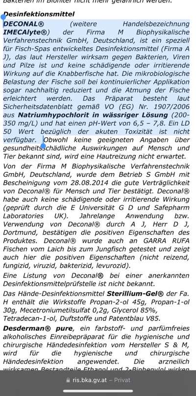 Hundefell desinfizieren-Beitrag-Bild