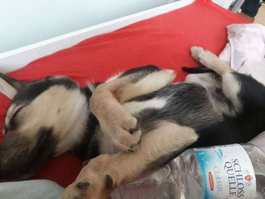 Schlafposition-Beitrag-Bild