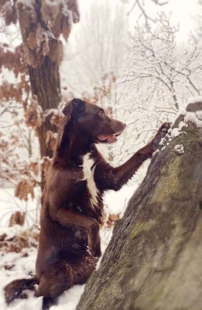 Fotowettbewerb Natur-Beitrag-Bild