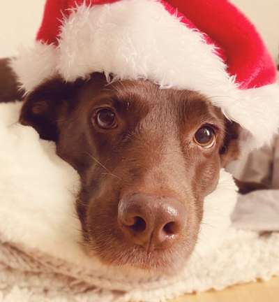 Lieblingsbild :D-Beitrag-Bild