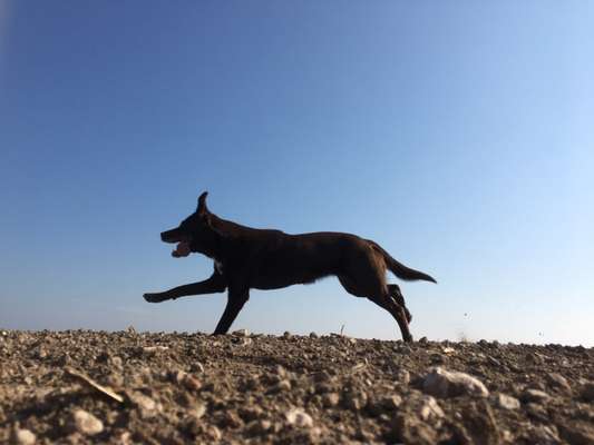 Wald Bild-Beitrag-Bild