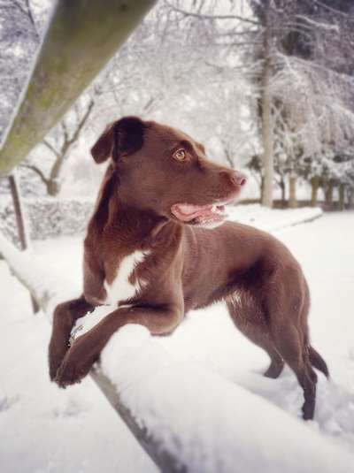 Lieblingsbild :D-Beitrag-Bild