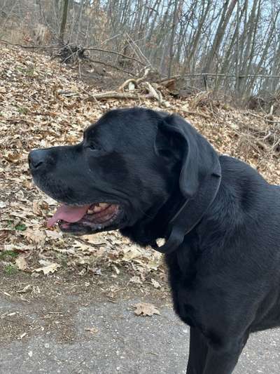 Fell kürzen wegen Hitzeempfindlichkeit-Beitrag-Bild