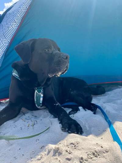 Was würdest du jetzt anders machen?-Beitrag-Bild