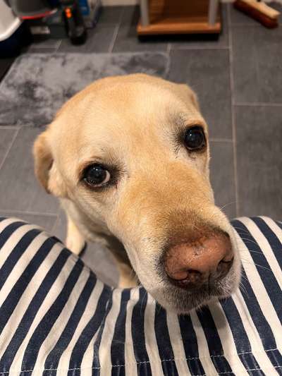 150. Foto Challaenge:  Die Augen, der Spiegel der Seele-Beitrag-Bild