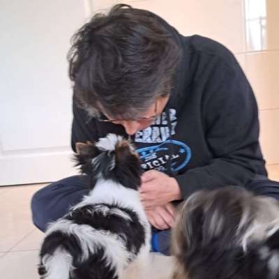 Hundetreffen-Vettelschoß/ Kleinhunde
