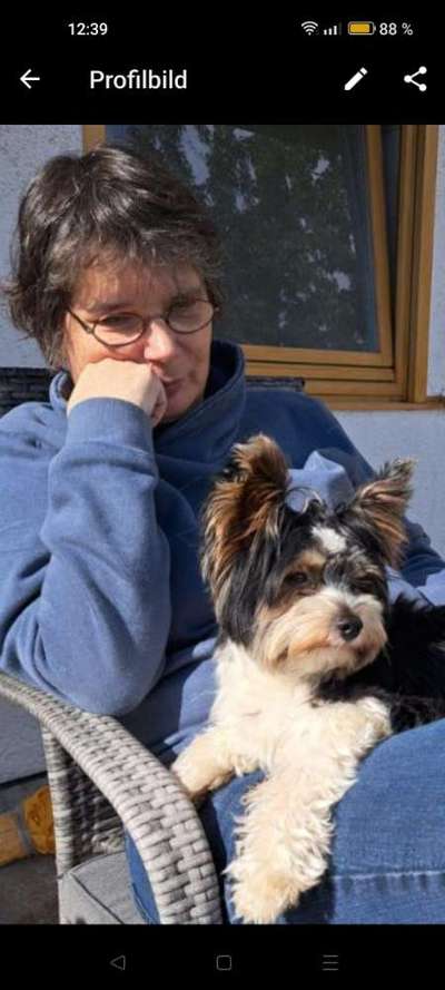 Großer oder kleiner Hund ?-Beitrag-Bild