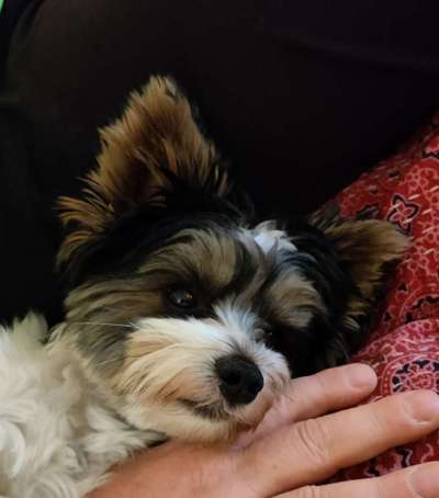 FOTO-Challenge  NR. 91: Die pure Entspannung-Beitrag-Bild