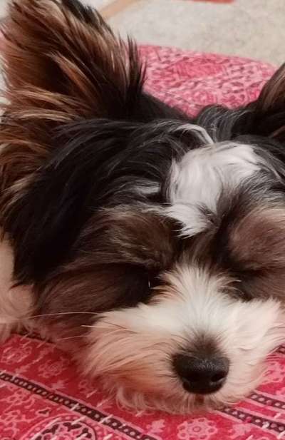 Foto-Challange No.1 - Alles aber nicht die Kamera-Beitrag-Bild