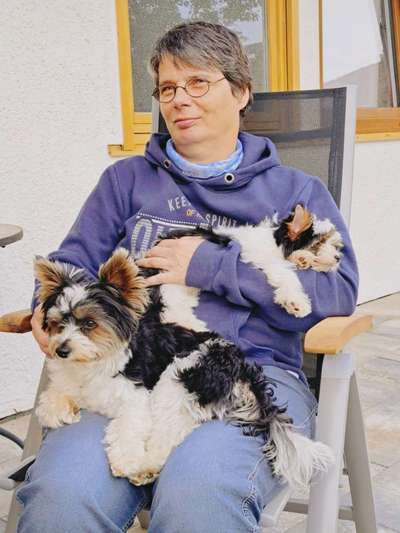 85. Foto Challenge : Schosshund-Beitrag-Bild