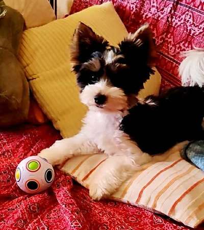 Vorher und Nachher-Beitrag-Bild