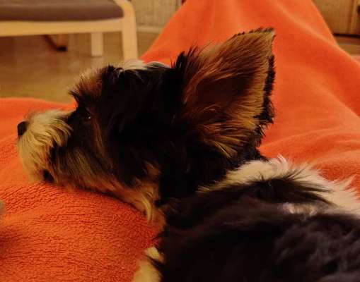 Setzt sich ungefragt dazu-Beitrag-Bild