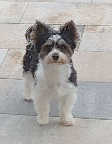 150. Foto Challaenge:  Die Augen, der Spiegel der Seele-Beitrag-Bild