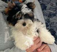 Erstes Bild-Beitrag-Bild