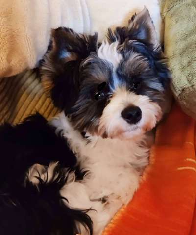 Vorher und Nachher-Beitrag-Bild