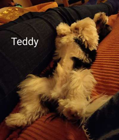 Fotochallenge Nr.65-Beitrag-Bild