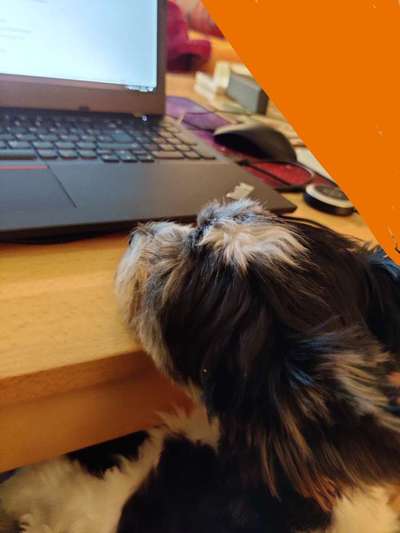 Zeigt her...-Beitrag-Bild