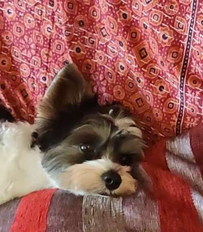 Bettel Blicke-Beitrag-Bild