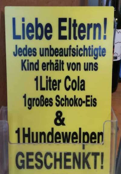 Hunde Memes-Beitrag-Bild