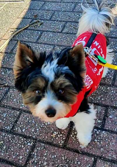 Von oben-Beitrag-Bild