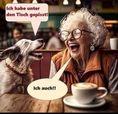 Hunde Memes-Beitrag-Bild