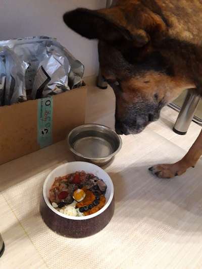 Zeigt her Eure Futternäpfe-Beitrag-Bild