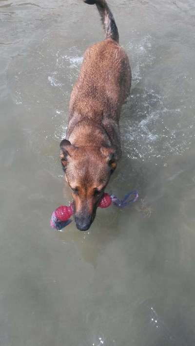 Von oben-Beitrag-Bild