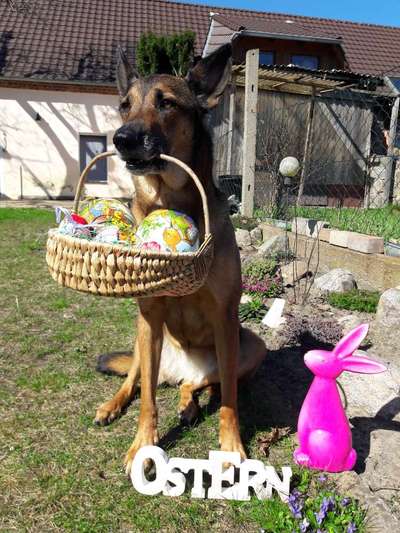 Handy-Foto-Challange Nr.9-Beitrag-Bild