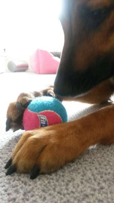 15. Handyfoto Challenge - Indoor Aktivitäten-Beitrag-Bild