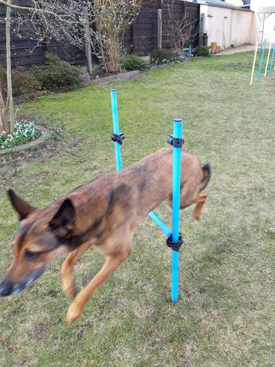 Un...scharf Bilder-Beitrag-Bild